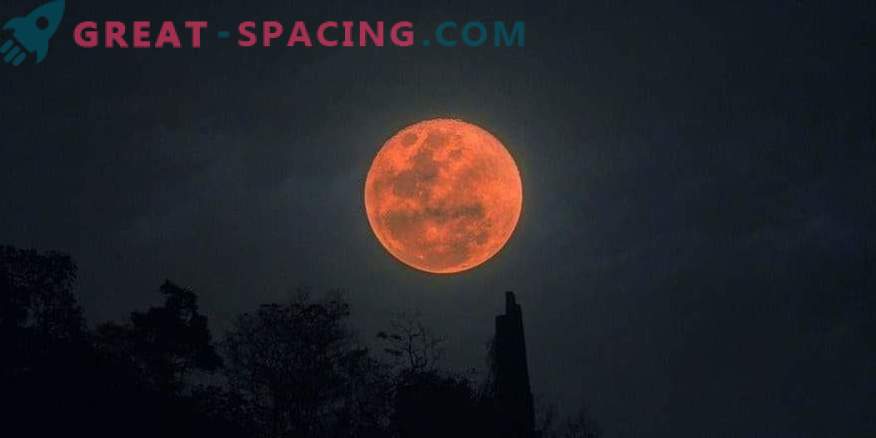 Totalt månförmörkelse: bilder av observatörer