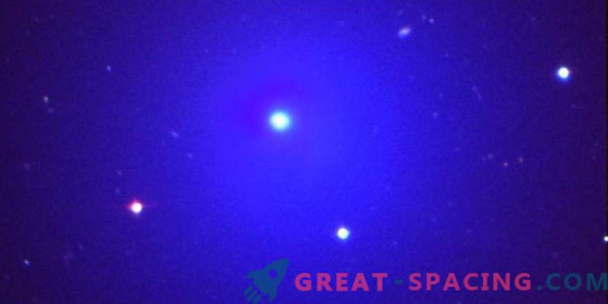 En komet hittades i ett amatörteleskop