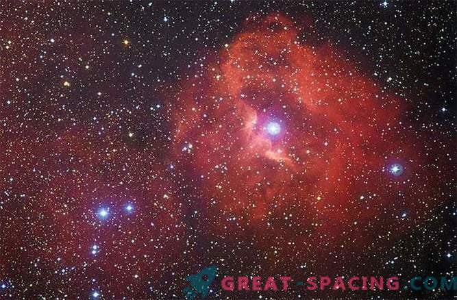 Bästa Foto av Gum Nebula 41