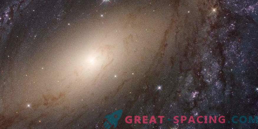 Forskare har släppt en fullständig översyn av UV-ljuset i närliggande galaxer