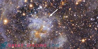 De snabbaste stjärnorna i Vintergatan - Runaways från andra galaxer