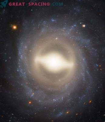 Spirals and Supernovae
