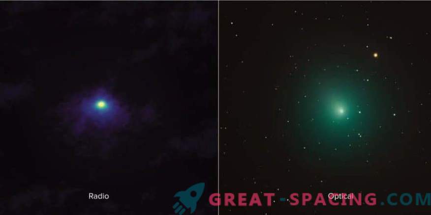 Närbild av Comet 46P / Virtanen från ALMA