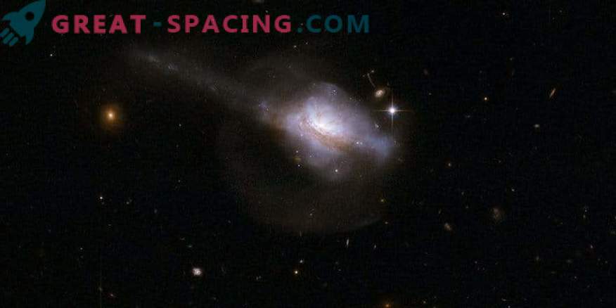 Aktiva galaktiska kärnor och stjärnfödelse