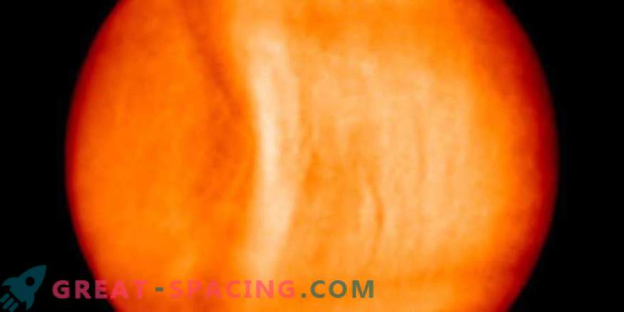 Jätte gravitationsvåg upptäckt på Venus