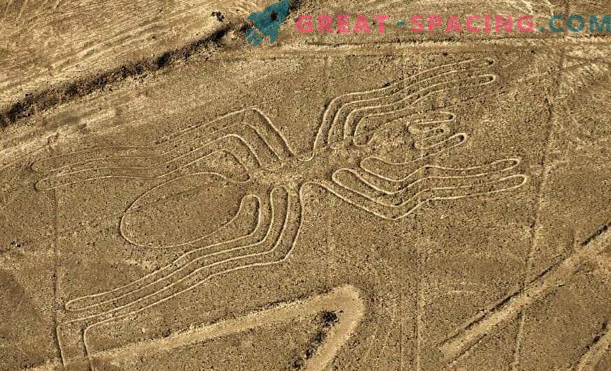 Forntida ritningar i Nazca-öknen. Ufologer pekar på utomjordiskt ursprung