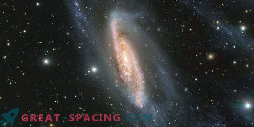 Galaktisk pärla: NGC 3981 fantastiska detaljer