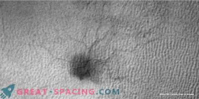 En spindel växer på Mars