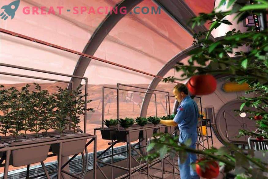 Kommer NASA att skicka växter till Mars?
