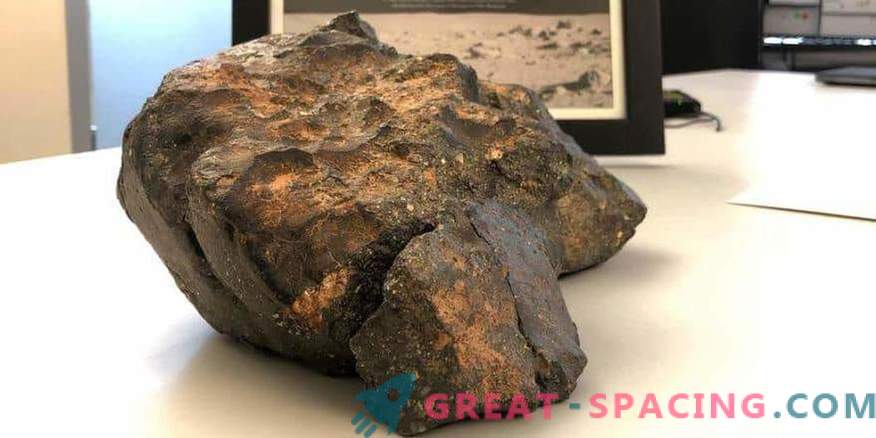 Månens meteorit såldes för $ 600.000